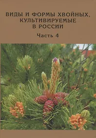 Купить Виды и формы хвойных, культивируемые в России. Часть 4. Сосна — Фото №1