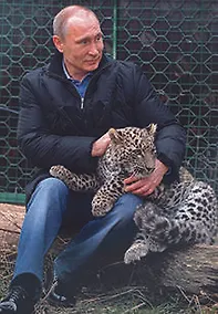 Купить Сувенир, Магнит В.В. Путин с леопардом металл [207] — Фото №1
