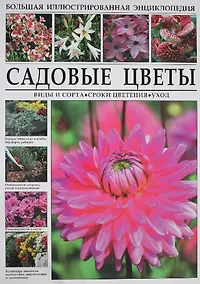 Купить Садовые цветы. Виды и сорта, сроки цветения, уход — Фото №1