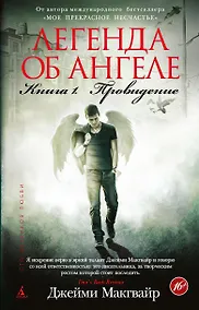 Купить Легенда об ангеле. Книга 1. Провидение — Фото №1
