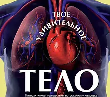 Купить Твоё удивительное тело — Фото №1