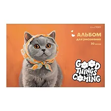 Купить Альбом для рисования 30л А4 "Pure Orange Cuteness" склейка, мел.картон, твин-лак — Фото №1
