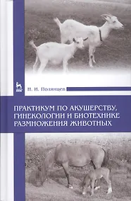 Купить Практикум по акушерству, гинекологии и биотехнике размножения животных: Уч.пособие — Фото №1