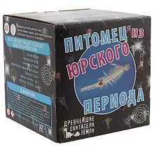 Купить Набор для опытов, НТ, Серия занимательная Биология Питомец из юрского периода — Фото №1