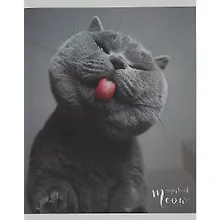 Купить Тетрадь в клетку Listoff, "Пушистые лапки", 96 листов, в ассортименте — Фото №1