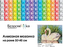 Купить Алмазная мозаика на холсте ТМ Белоснежка Навсегда 312-ST-S — Фото №1