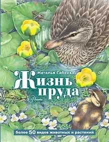 Купить Жизнь пруда — Фото №1