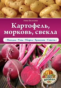 Купить Картофель, морковь, свекла — Фото №1