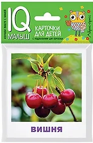 Купить Умный малыш. Что растёт в саду? — Фото №1