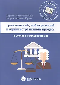 Купить Гражданский, арбитражный и административный процесс в схемах с комментариями — Фото №1