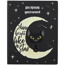 Купить Дневник школьный Феникс+, "Кот" — Фото №1