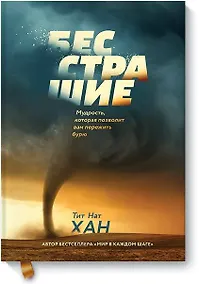 Купить Бесстрашие. Мудрость, которая позволит вам пережить бурю — Фото №1