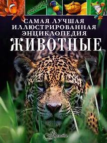 Купить Животные — Фото №1