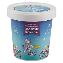 Купить Набор для выращивания Водосбор (Аквилегия) (Русалка) (НВ2018-12) — Фото №1