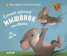 Купить Книжки-картонки. Самый лучший мышонок на свете — Фото №1