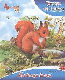 Купить Модница белка — Фото №1