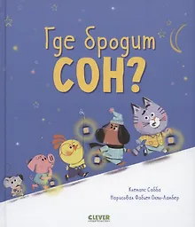 Купить Где бродит сон? — Фото №1