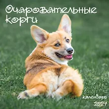 Купить Очаровательные корги. Календарь настенный на 2027 год (300х300 мм) — Фото №1