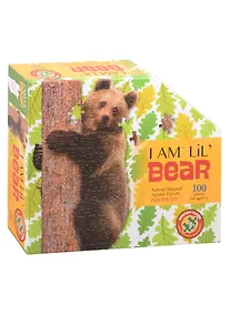 Купить Пазл контурный «Медведь», 100 деталей — Фото №1