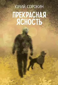 Купить Прекрасная ясность — Фото №1