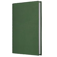 Купить Ежедневник недат. А5 152л "Today. Зеленый" , интегр.переплет, иск.кожа, евроспираль, карман, петля д/ручки, тонир.блок, ляссе, инд.уп — Фото №1
