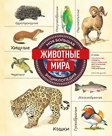 Купить Животные мира. Моя большая энциклопедия — Фото №1