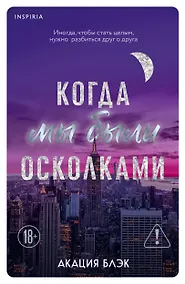 Купить Когда мы были осколками — Фото №1