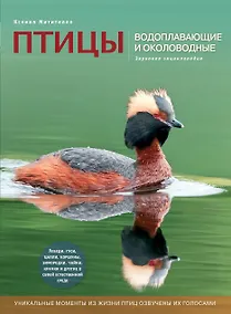 Купить Птицы. Водоплавающие и околоводные. Звуковая энциклопедия — Фото №1
