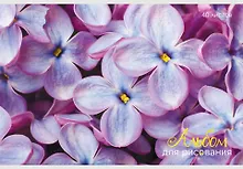 Купить Альбом для рисования Listoff, "Сирень", А4, 40 листов, на скрепке — Фото №1