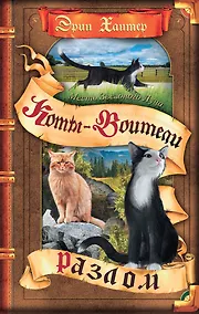 Купить Месть Звездного Луча. Разлом — Фото №1