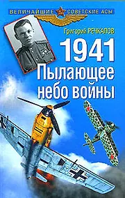 Купить 1941. Пылающее небо войны — Фото №1