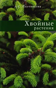Купить Хвойные растения — Фото №1