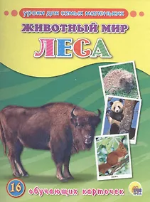 Купить Животный мир. Леса — Фото №1