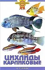 Купить Цихлиды карликовые — Фото №1