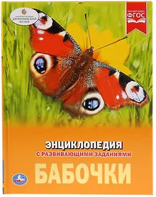 Купить Бабочки. Энциклопедия с развивающими заданиями — Фото №1