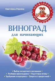 Купить Виноград для начинающих — Фото №1
