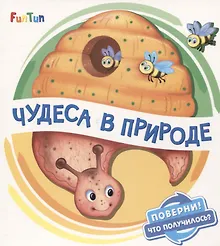 Купить Чудеса в природе — Фото №1