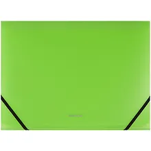 Купить Папка на резинках «Neon», 12 отделений, Erich Krause, А4 — Фото №1