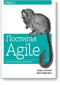 Купить Постигая Agile. Ценности, принципы, методологии — Фото №1