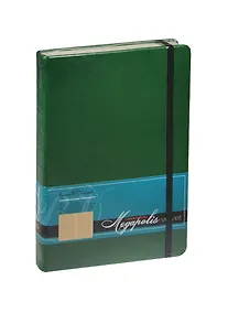 Купить Ежедневник недат. А5 160л "MEGAPOLIS VELVET" зеленый, на резинке, иск.кожа, тонир.блок, карман, ляссе, Bruno Visconti — Фото №1