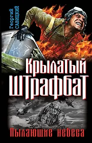 Купить Крылатый штрафбат. Пылающие небеса — Фото №1
