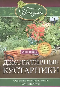 Купить Декоративные кустарники — Фото №1