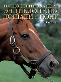 Купить Лошади и пони: Иллюстрированная энциклопедия — Фото №1