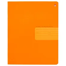 Купить Тетрадь в линейку Альт, "Простые цвета", 12 листов, в ассортименте — Фото №1