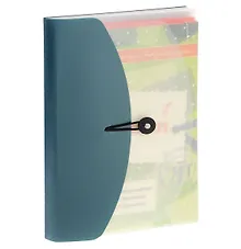 Купить Карты. Карточки. Картинки...: учебное пособие по русскому языку.  Вып. 1. Падежи. 112 карт.+метод.описание (16 с.) + CD — Фото №1