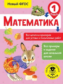 Купить Математика. Все цепочки примеров для устных и письменных работ. 1 класс — Фото №1