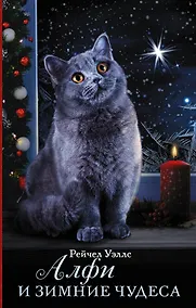 Купить Алфи и зимние чудеса — Фото №1