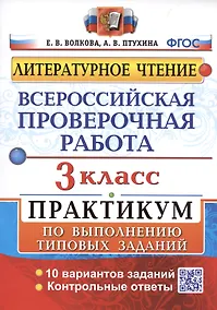 Купить Всероссийская проверочная работа. Литературное чтение. 3 класс. Практикум по выполнению типовых заданий — Фото №1