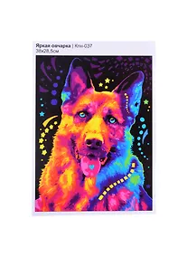 Купить Кпн-037 Картина по номерам Яркая овчарка (ПочСебяХуд) (38х28,5 см) (коробка) (LORI) — Фото №1
