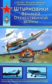 Купить Штурмовики Великой Отечественной войны — Фото №1